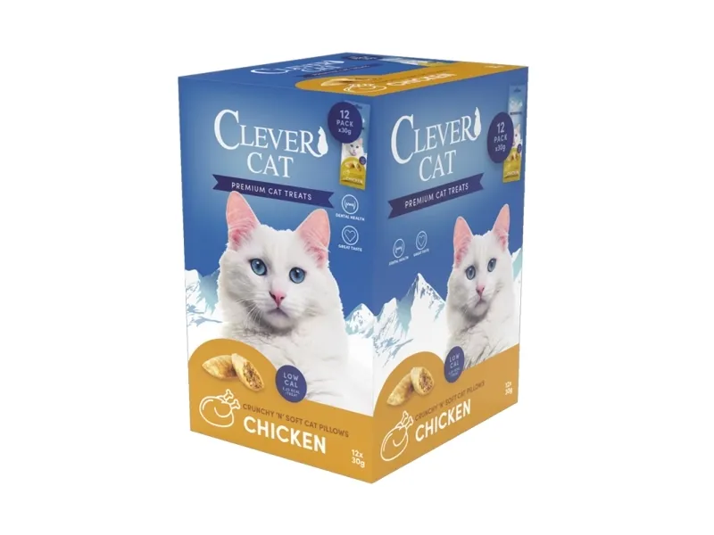 Chicken Soup for the Soul Publishing Clever Cat Pillows 30 g kylling