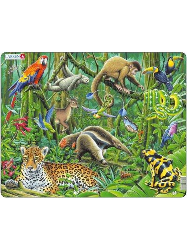 Larsen Puzzles South American Rainforest