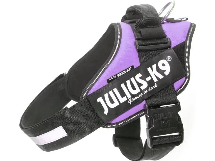 Julius-K9 K9 IDC sele, str.: 2, lilla 71-96 cm