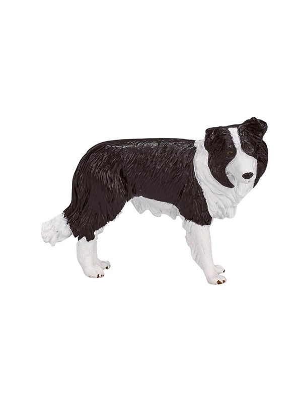 Mojo Farmland Border Collie