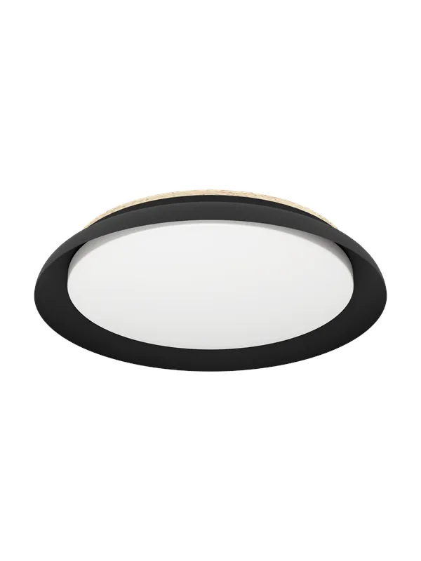 EGLO PENJAMO 1 ceiling lamp black