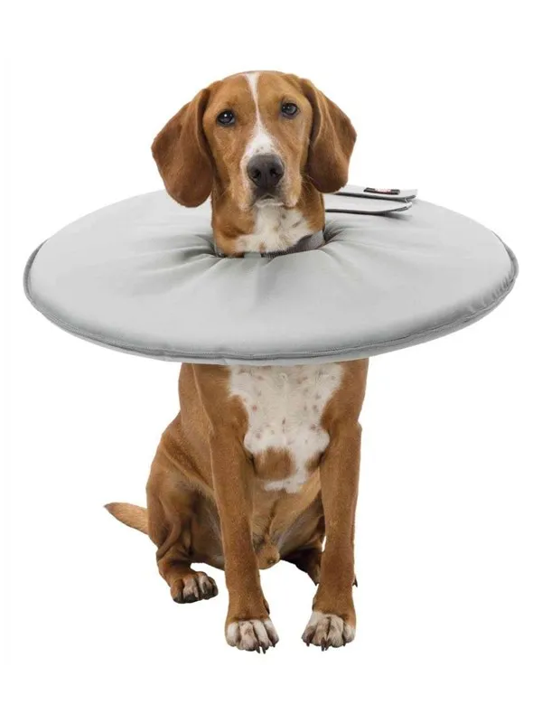Trixie Protective collar polyester/foam XS: 23-27 cm/13 cm grey
