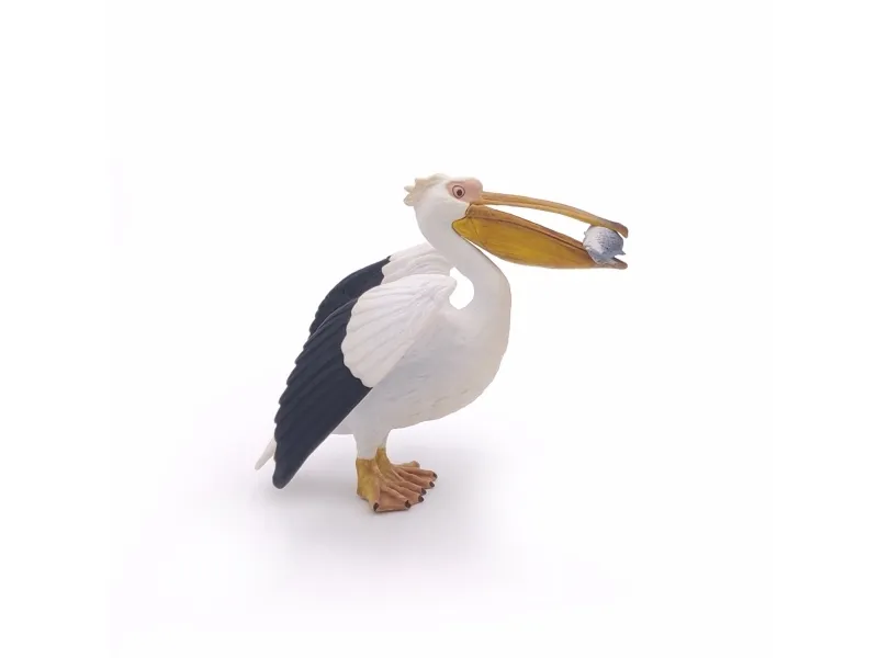 Papo 56009, 3 år, Marine life, Flerfarget, PVC