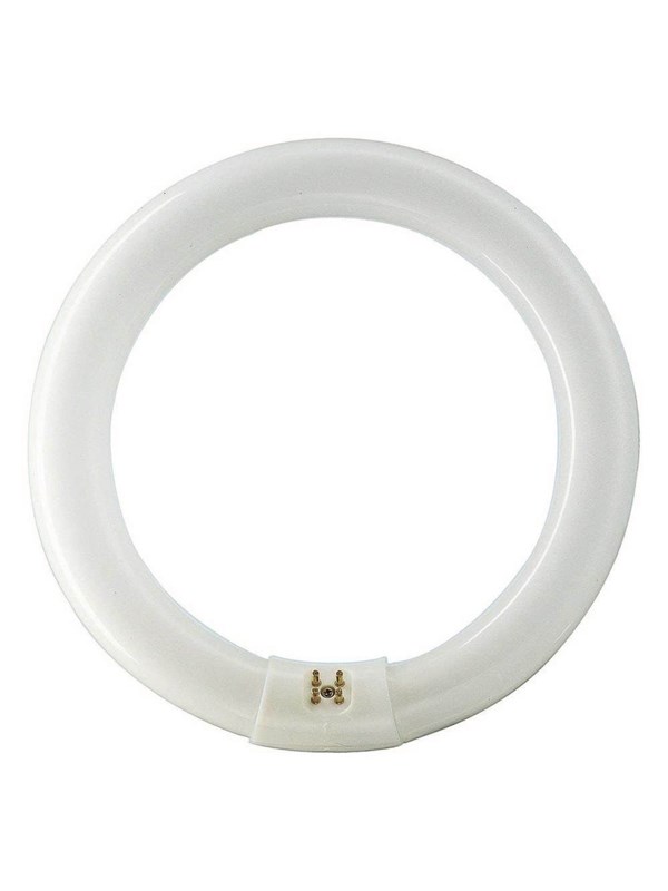 Philips Lysrør Master TL-E Circular 32W/840 G10q
