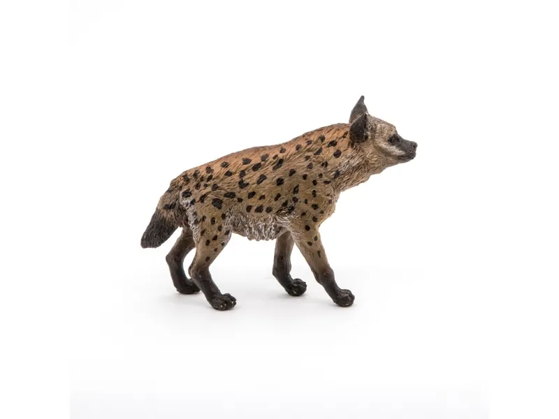 Papo 50252, 3 år, Wild animal kingdom, Flerfarget, PVC