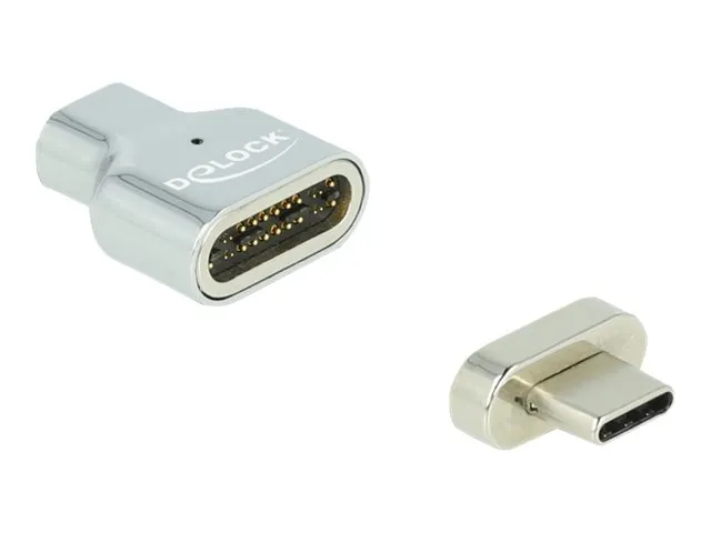 Delock - Thunderbolt / USB-C-adapter - USB-C (hann) magnetisk til USB-C (hunn) - USB 3.2 Gen 2 / Thunderbolt 3 - 20 V - 4.5 A - 8K-støtte - sølv