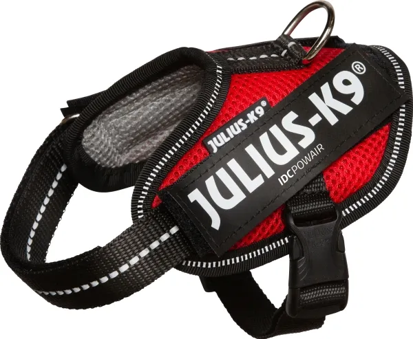 Julius-K9 K9 IDC POWAIR sele, Str.: Baby 1, rød, 29-36 cm