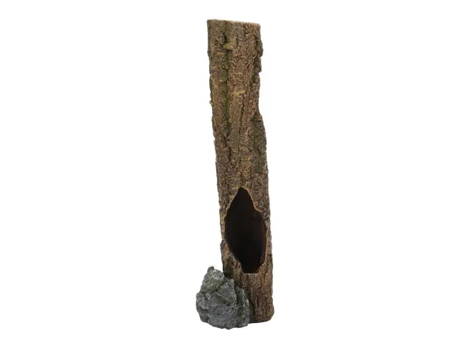HOBBY Cork Trunk 1