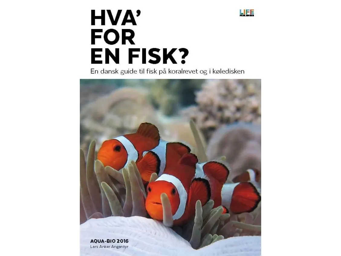 Hva slags fisk? | Lars Anker Angantyr | Språk: Dansk