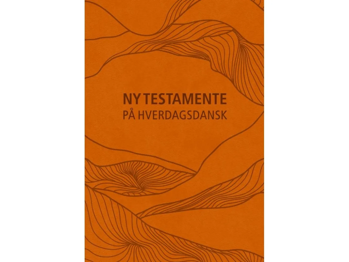 Nytt testament – på hverdagsdansk, kunstlær
