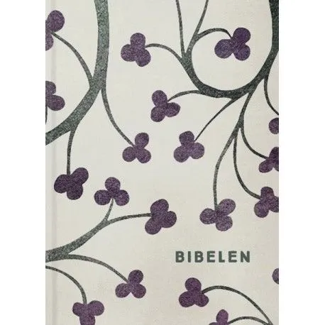 Bibelen med apokryfene