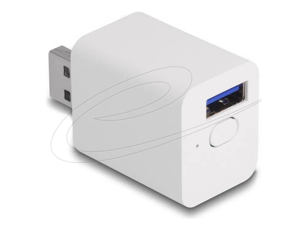 Delock - Smartsvitsj - WLAN, EASY-USB - trådløs - 802.11b/g/n - 2.4 Ghz - hvit