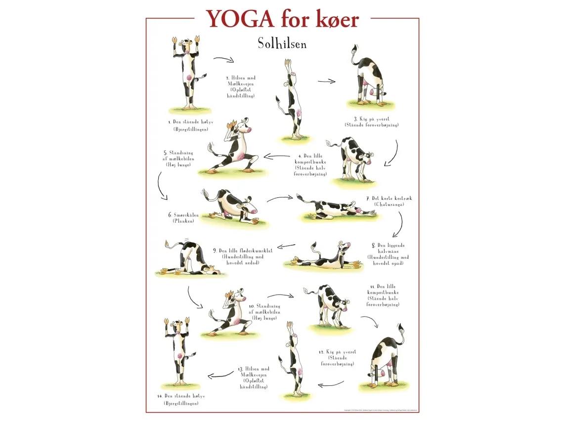 Yoga for kuer plakat