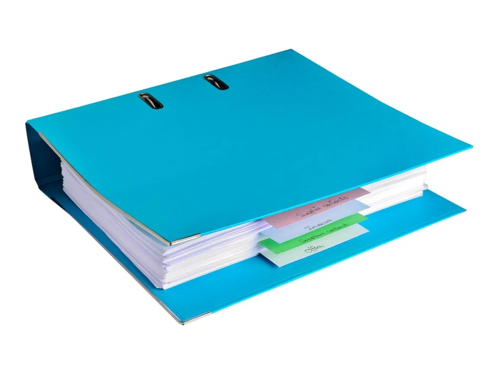 Exacompta Forever - Inndeler - 100 deler - for 105 x 240 mm - assorterte farger