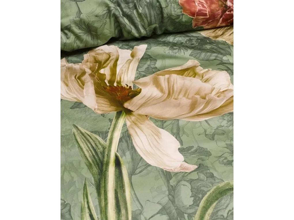 Annabel Basil 140x220+60x64