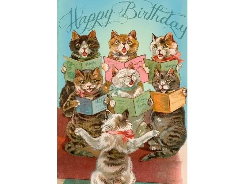 B6 notatbok med konvolutt Birthday Choir of 7 cats