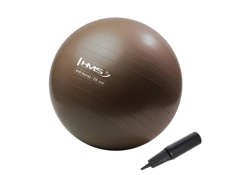 HMS Anti Burst treningsball 65 cm grizzly (YB02)