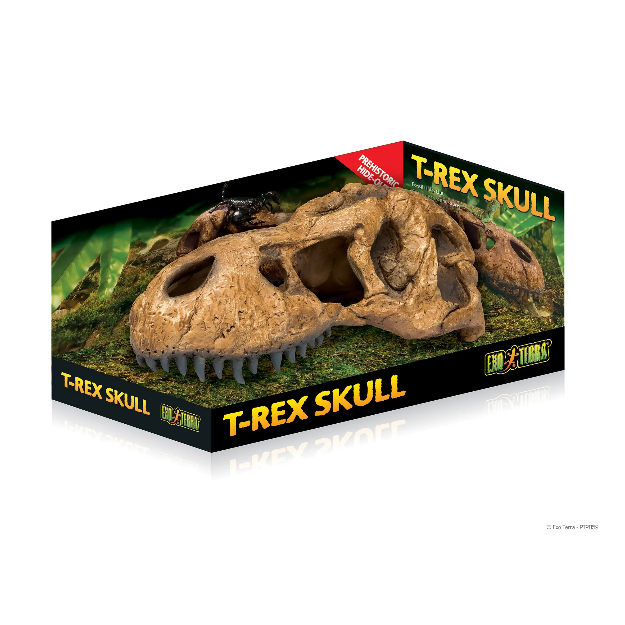 Hagen dekorasjon – dinoskjelett