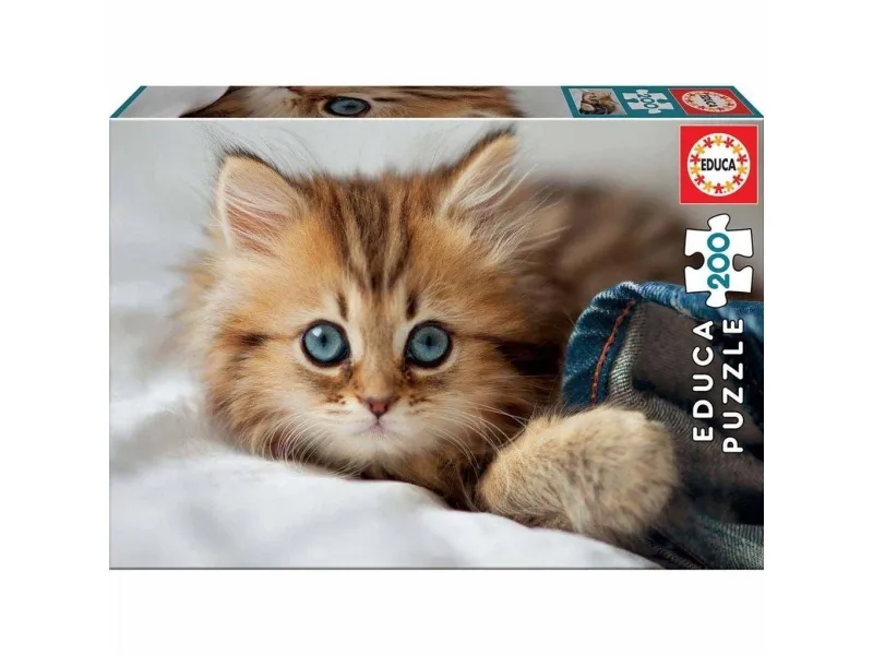 Educa 200 Kitten