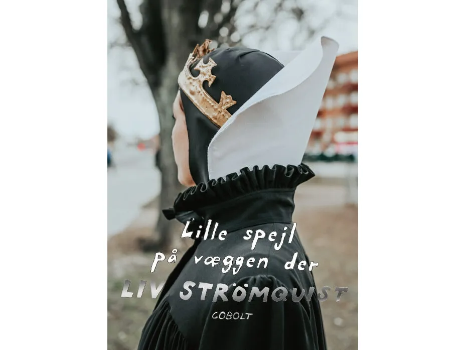 Lite speil på veggen der | Liv Strömquist | Språk: Dansk