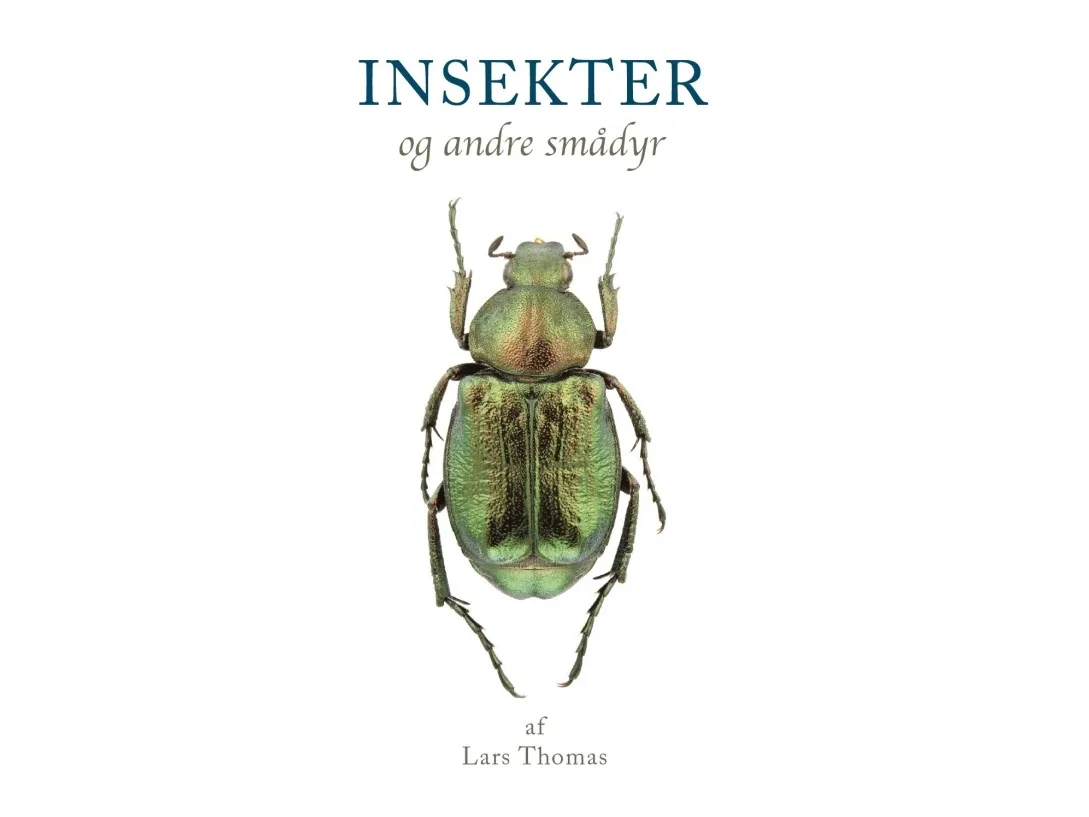 Insekter og andre smådyr | Lars Thomas | Språk: Dansk