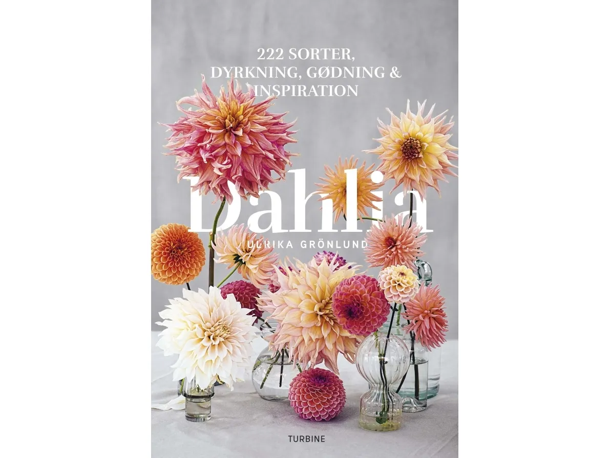 Dahlia | Ulrika Grönlund | Språk: Dansk