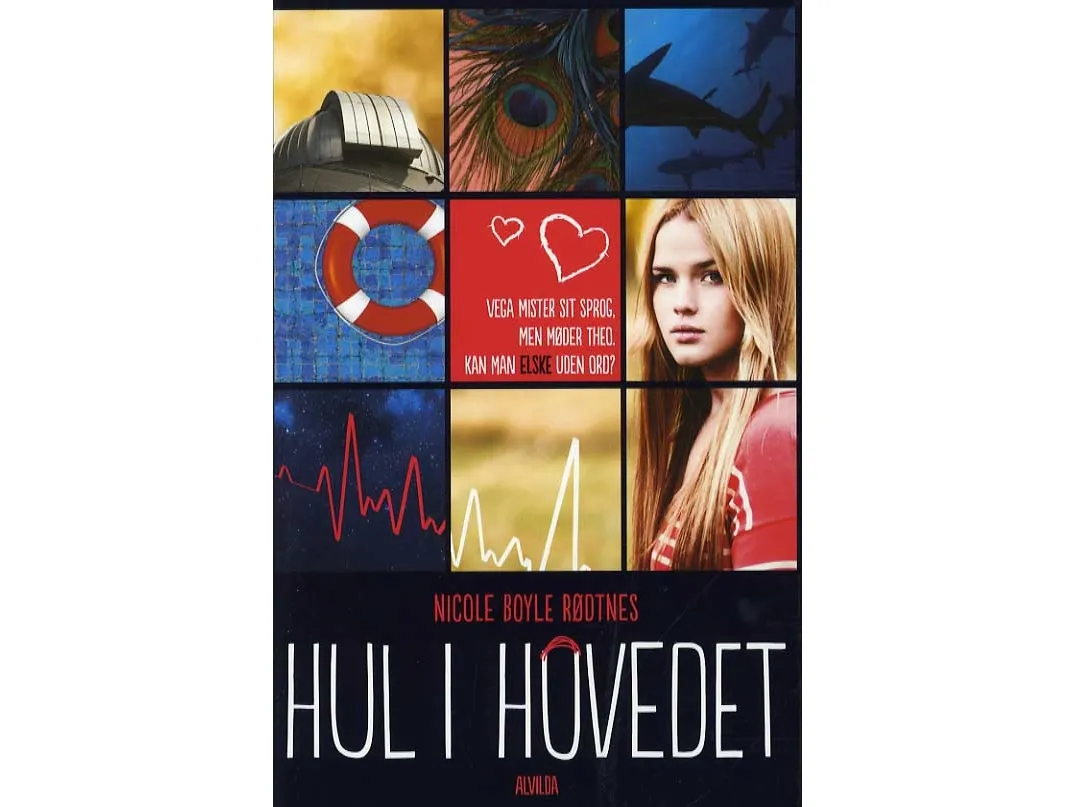 Hull i hodet | Nicole Boyle Rødtnes | Språk: Dansk