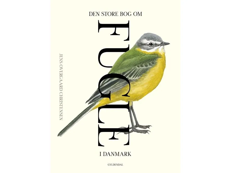 Den store boken om fugler i Danmark - Jens Overgaard Christensen | Språk: Dansk