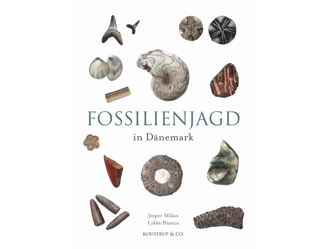 Fossiljakt i Danmark | Jesper Milan | Språk: ger