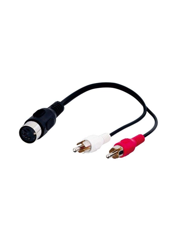 Pro DIN 5 pins F - 2xRCA M - 0.2m
