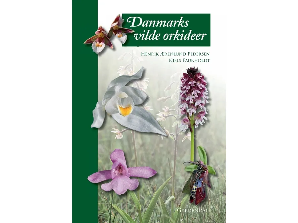 Danmarks ville orkideer | Niels Faurholdt  Henrik Ærenlund Pedersen | Språk: Dansk