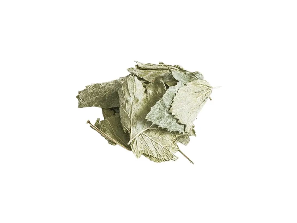 PetDK Solbærblade 100g