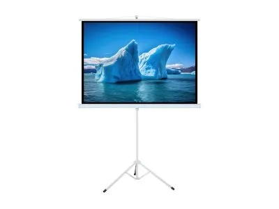 ART T70 - Projeksjonsskjerm med ben - tripod/stand mountable - 96 (244 cm) - 1:1