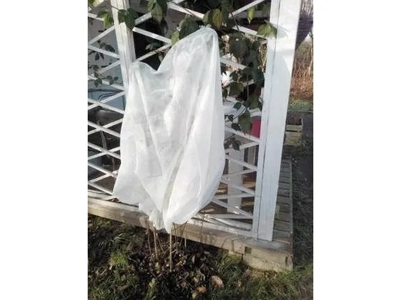FLO beskyttelseshette for planter 1,2 x 1,8 m