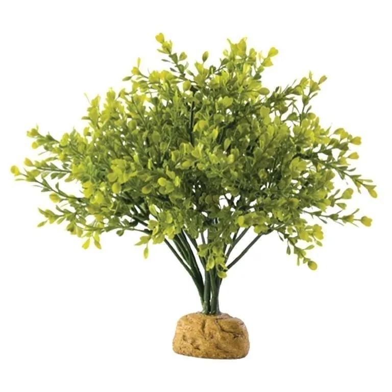 Exo Terra kunstig plante – Boxwood Bush