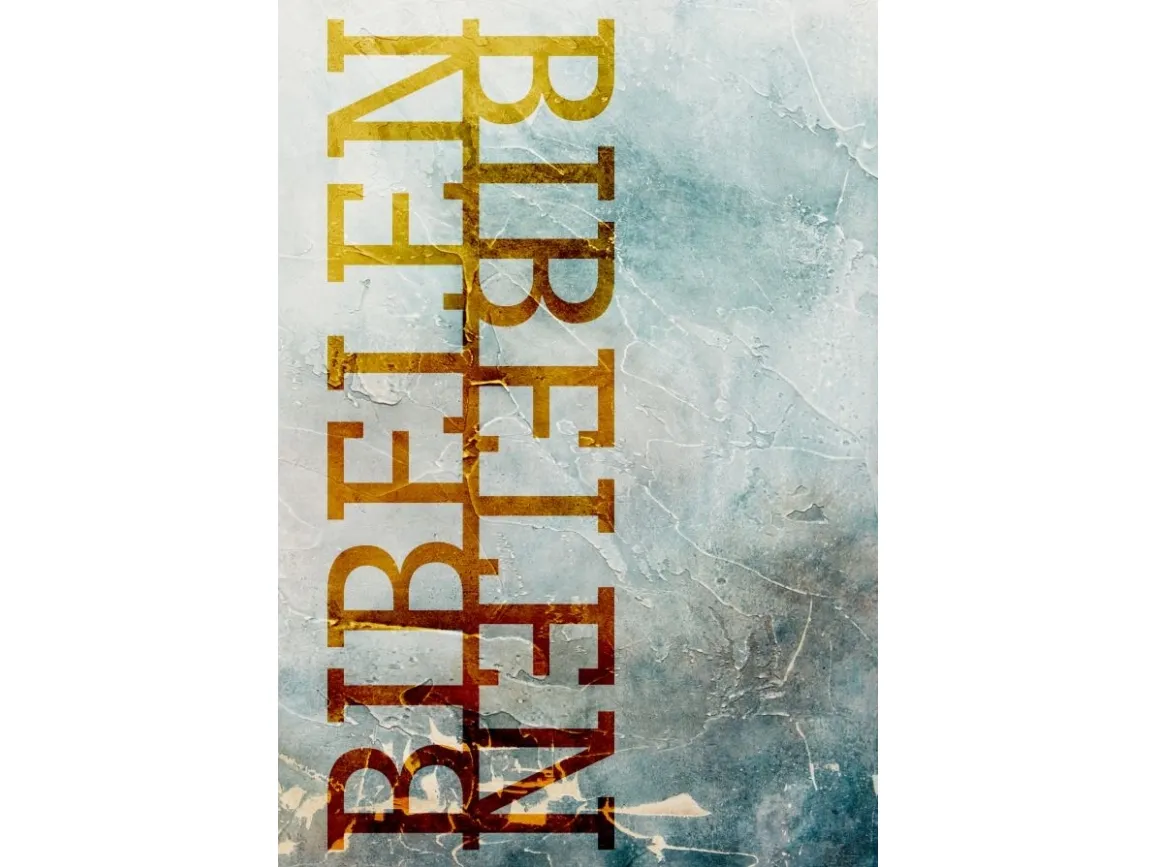 Bibelen på hverdagsspråk (paperback) - frost