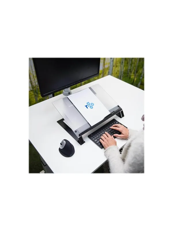 R-Go Tools R-Go Read2Write