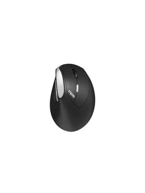 RAPOO EV250 - Ergonomisk mus - Optical / gyroscopic - 6 - Svart