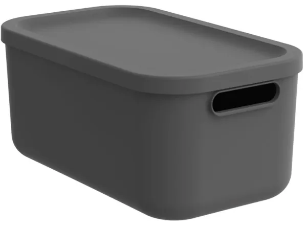 Rotho BOX12L Albula antrasitt