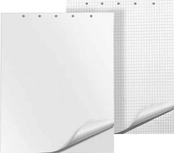Flipover-blokk 65x100 cm 20K rutenett