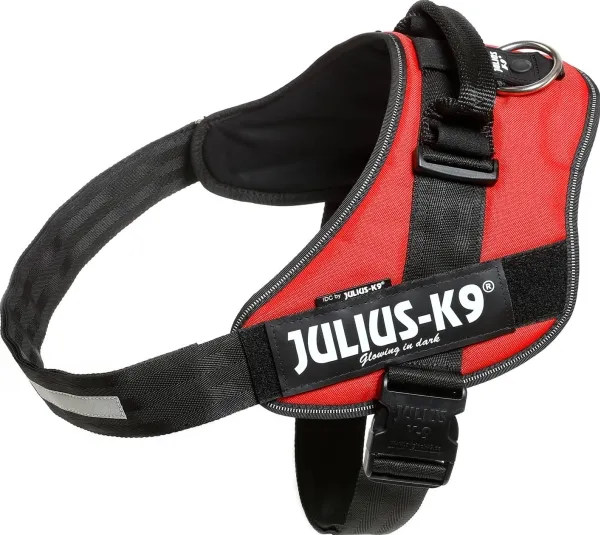 Julius-K9 K9 IDC sele, str.: 4, rød 96-138 cm