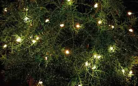 Sirius Knirke lysslynge 160 LED - Klar/Grønn