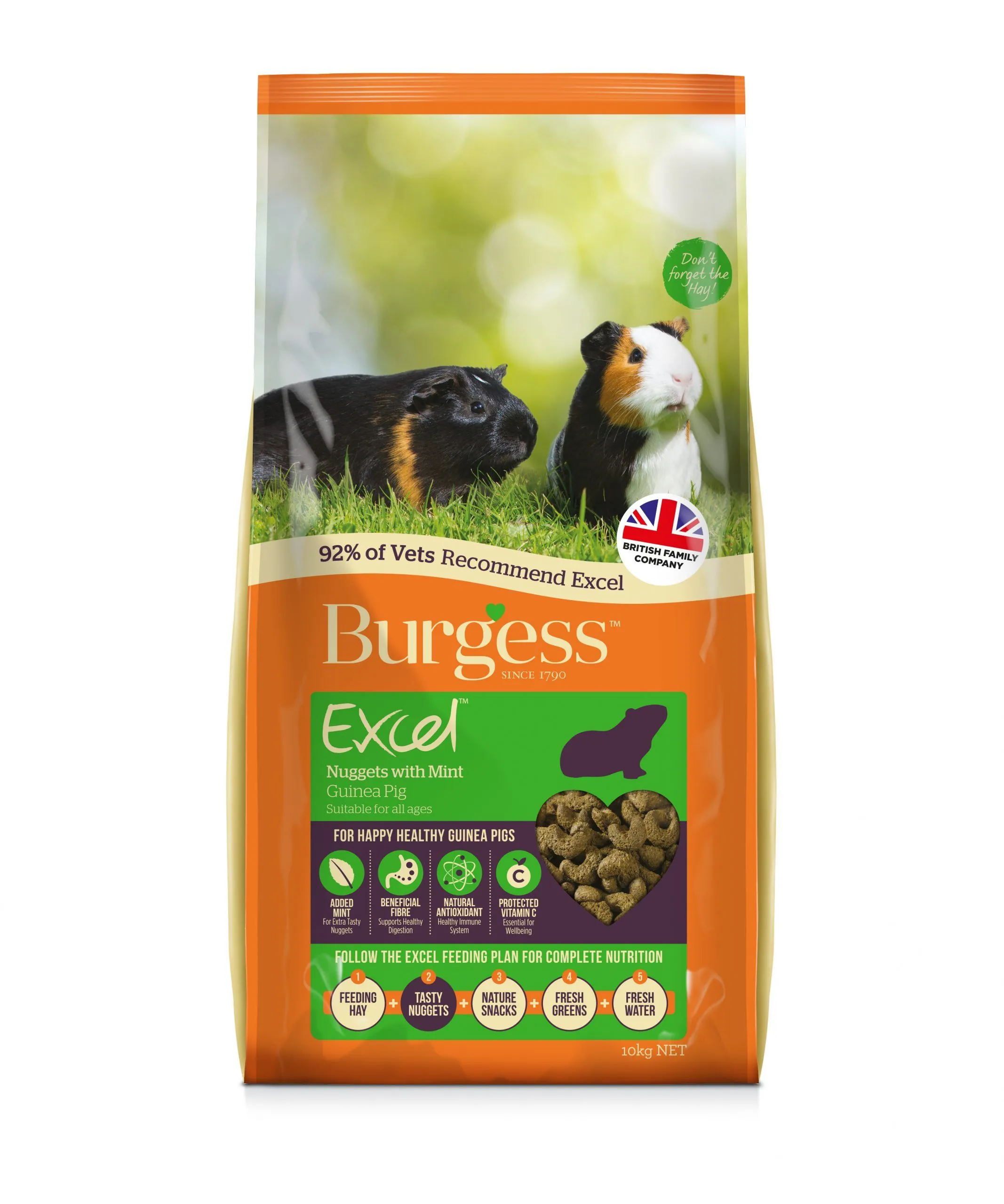 Burgess Excel Guinea Pig 10kg Mint