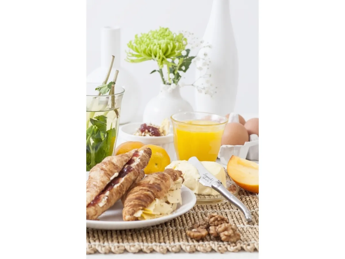 LAGUIOLE Butter knives Laguiole Stainless Steel SET 4 SdV