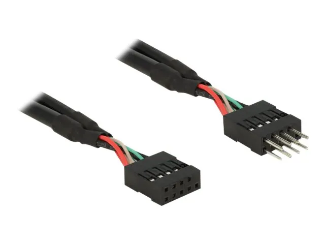 Delock USB 2.0 Pin Header - USB-internkabel - 10-pins USB-kontakt (hunn) til 10-pins USB-kontakt (hann) - 25 cm - svart