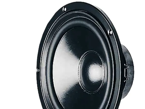 Visaton W 170 S 8 OHM - Høyttalerdriver - 50 watt