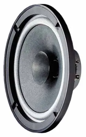 Visaton FR 6,5 - Høyttalerdriver - 40 watt