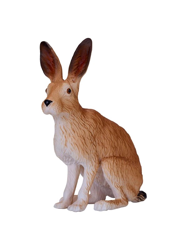 Mojo - Wildlife Hare