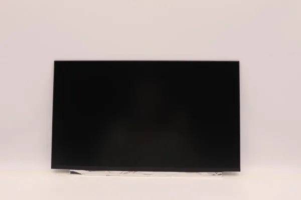Thor FRU DISPLAY 15,6 HD TN 220nit 45%CG non-brakett INX