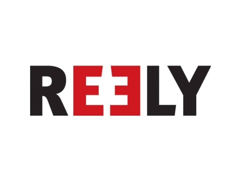Reely RE-9043683 reservedel frontoppheng